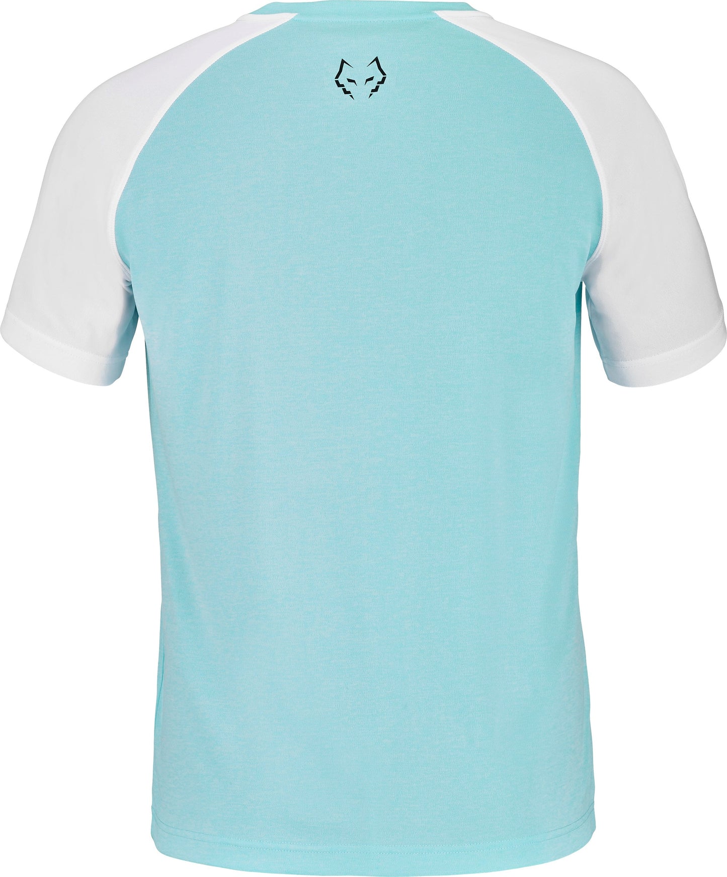 Babolat Crew Neck Tee Juan Lebron (Ängelblå/Vit)