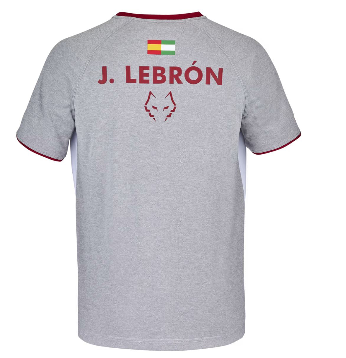 Babolat Crew Neck T-shirt Juan Lebron (Vit/Vit)